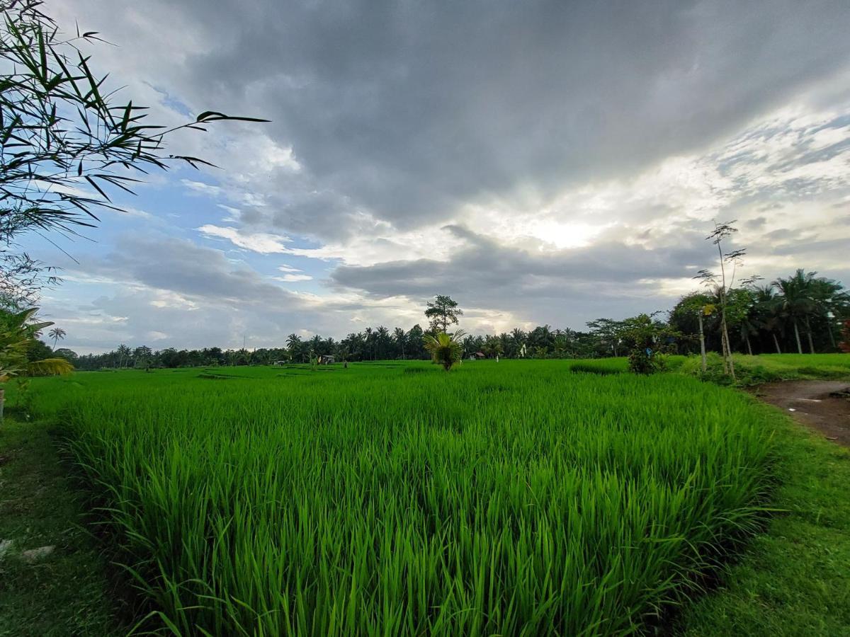 Shivananda Antique Villas By Eps Ubud Esterno foto