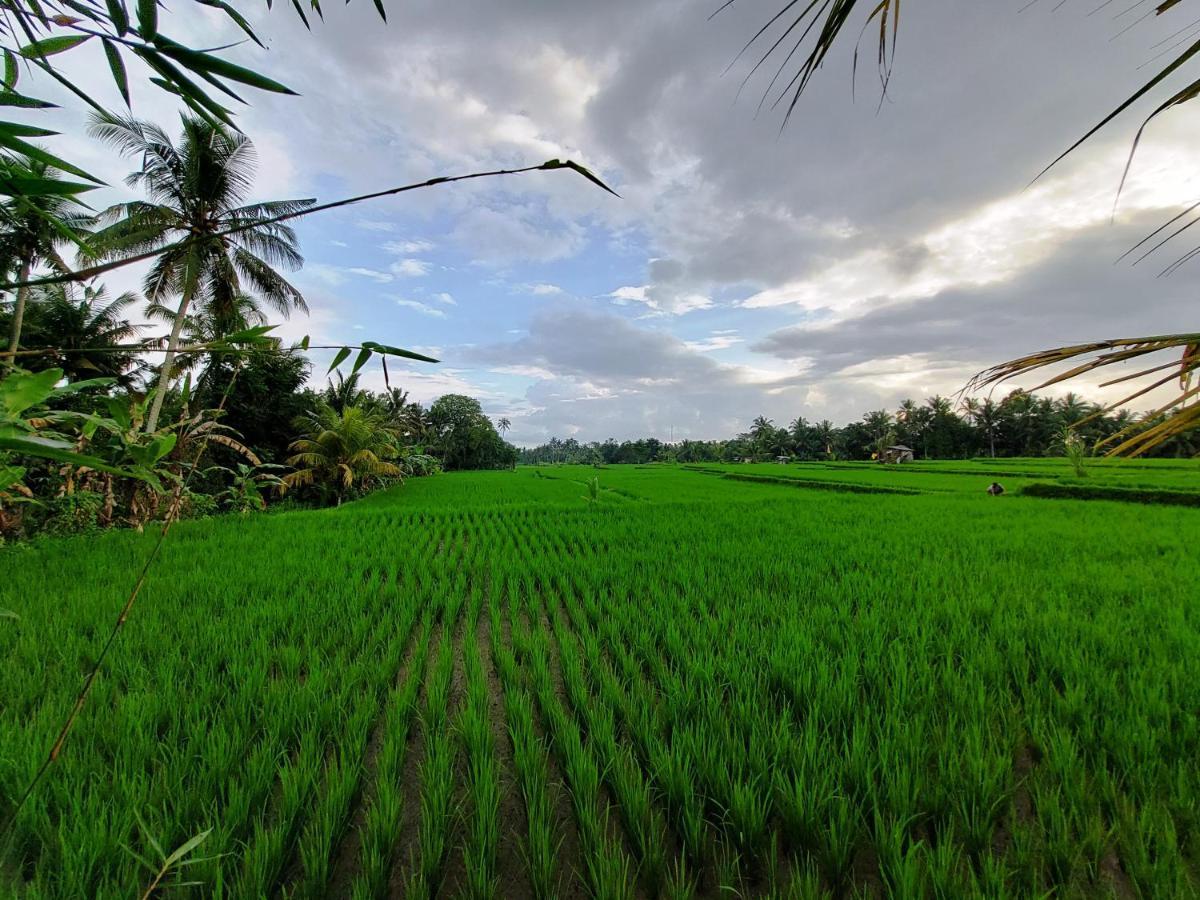 Shivananda Antique Villas By Eps Ubud Esterno foto